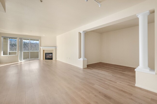 Building Photo - 1Bd/1Ba Bellevue Condo