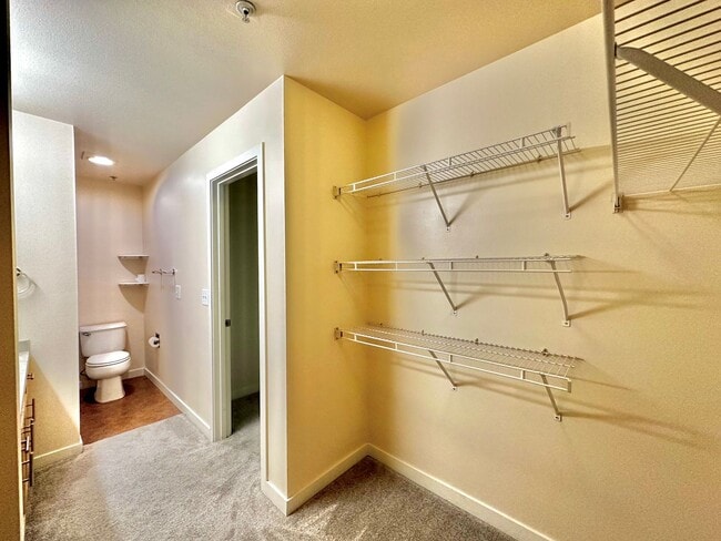 Building Photo - Beautiful 2BR|2BA with Washer and Dryer, T...