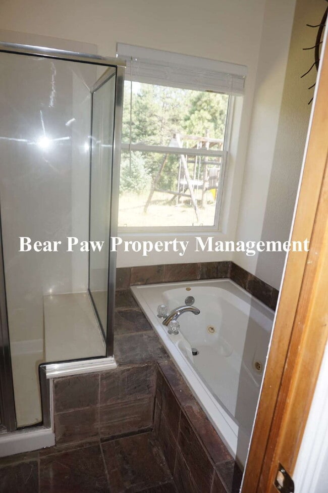 Building Photo - Great Mountain Home near Morrison!!