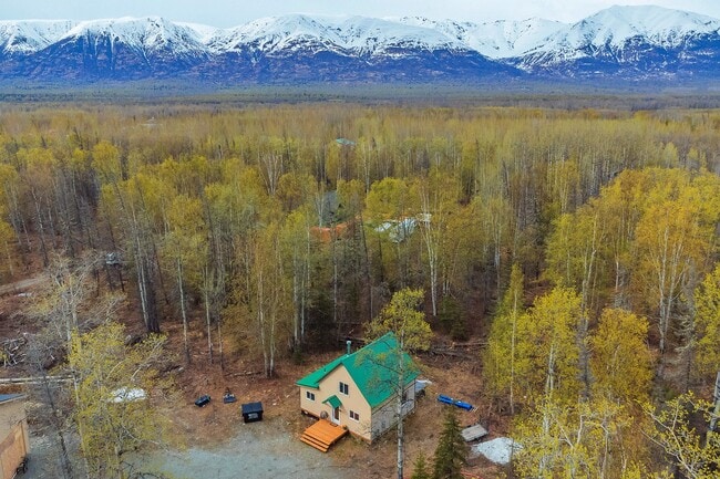 Building Photo - Cozy cabin in the woods on 2.22 Acres!  Se...