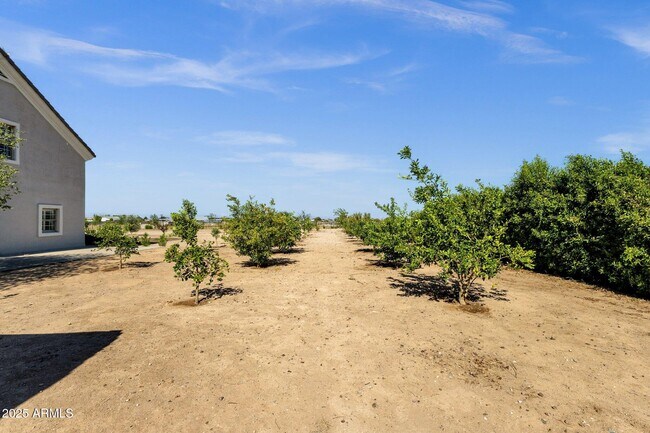 Building Photo - 856 W Quail Cir