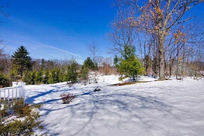 Building Photo - 39 Locust St