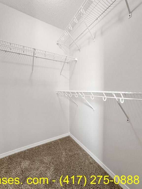 Building Photo - 5384 Soapberry Ct