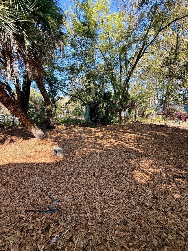 Building Photo - Wonderful 2 Bedroom a must see in Norwood.