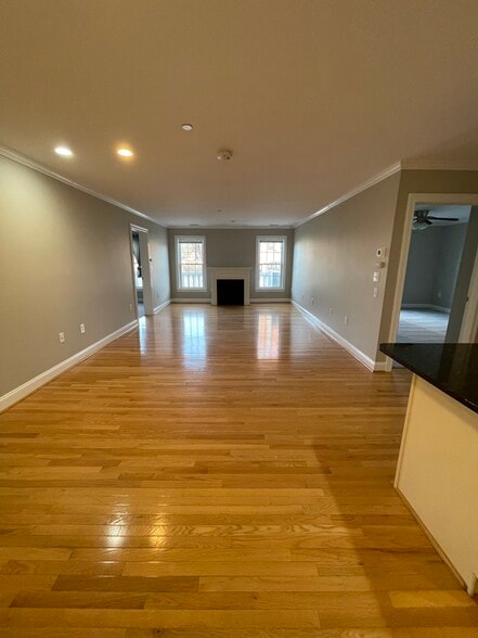 Gas Fireplace - 10 Crowninshield St