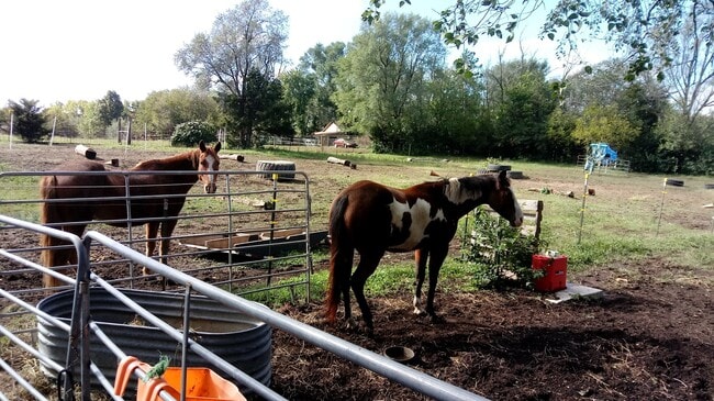 Building Photo - Amazing Country property!