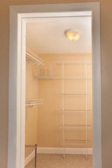 Building Photo - 384 Webster Ave