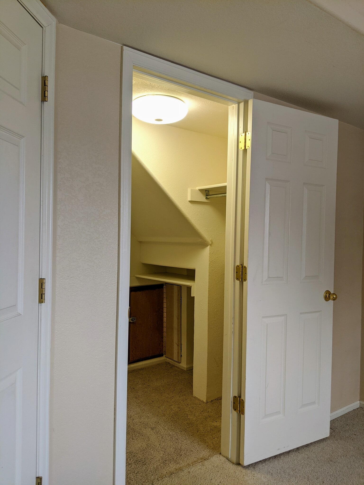 Basement Bedroom Closet-2 - 6803 Autumn Ridge Dr