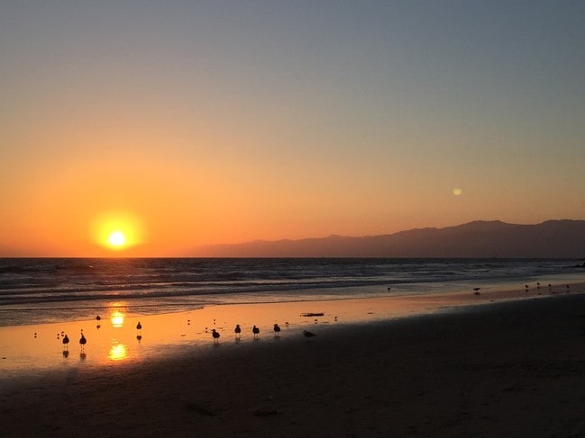 Your Beach - 33 Paloma Ave