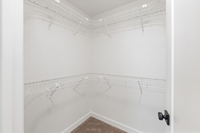 Building Photo - Las Palmas Complete Remodel
