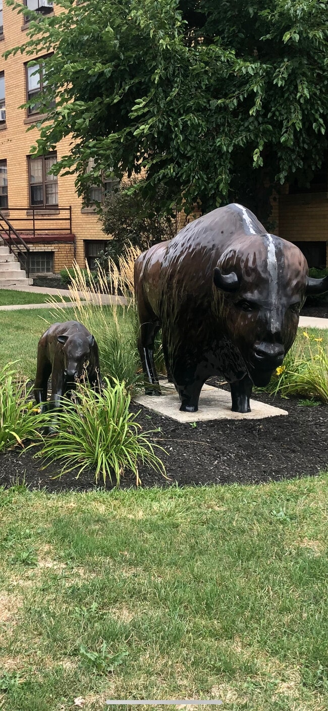 Village Apartments 1929 Benwood Ave Buffalo NY 14214