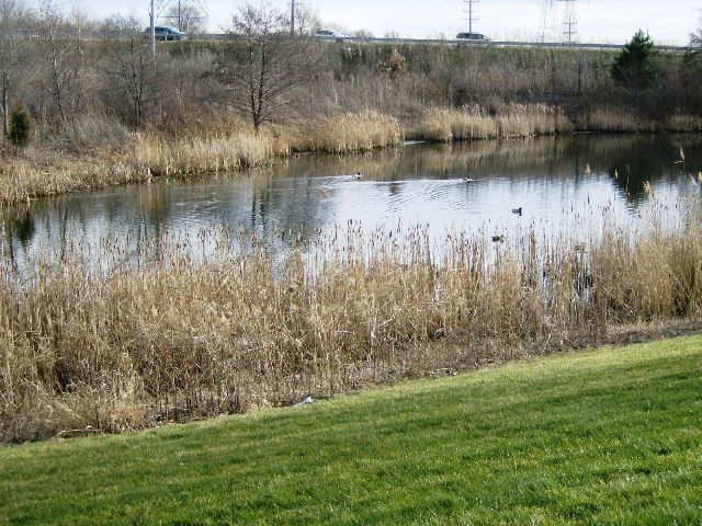 Building Photo - 457 Metropolitan St