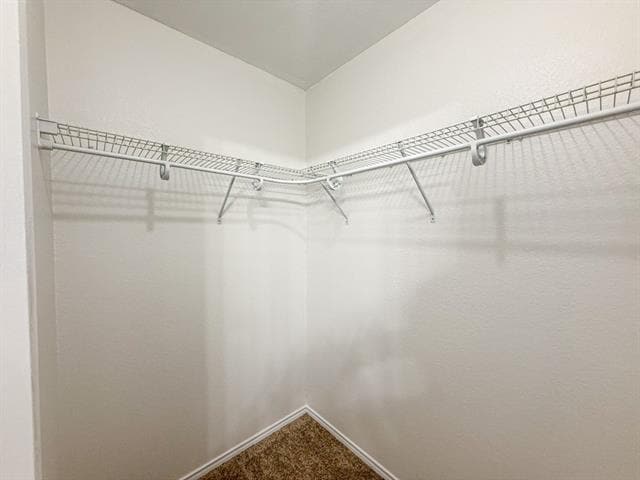 Building Photo - 3129 Appaloosa Dr
