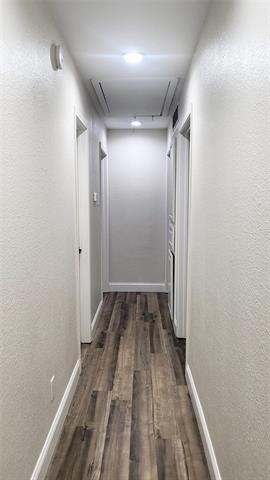 Building Photo - 3319 Kellie St