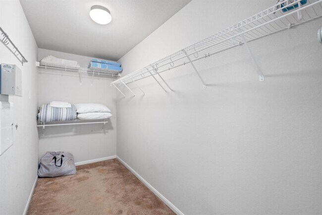 Building Photo - 1900 Melissa Oaks Ln