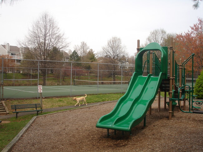 Building Photo - 2916 Bridgehampton Ct