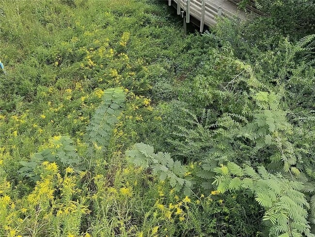 Building Photo - 4249 Tin Hare Ln