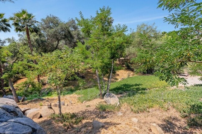 Building Photo - 3267 Bernardo Ln
