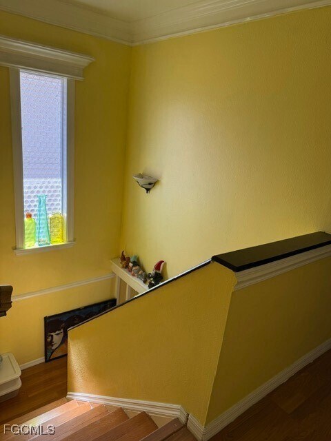 Building Photo - 4293 Island Cir