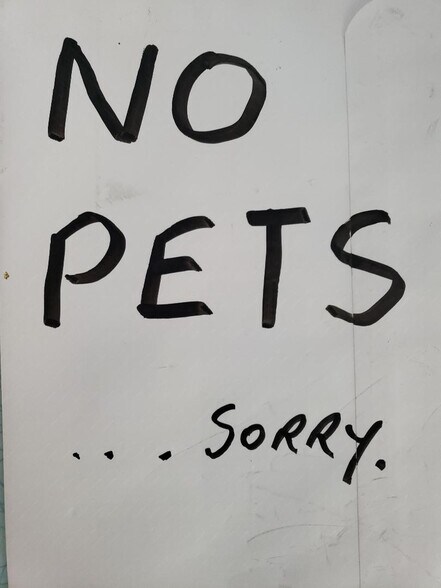 Restated pet policy for folks who don't read the description - 48 Troy Ave