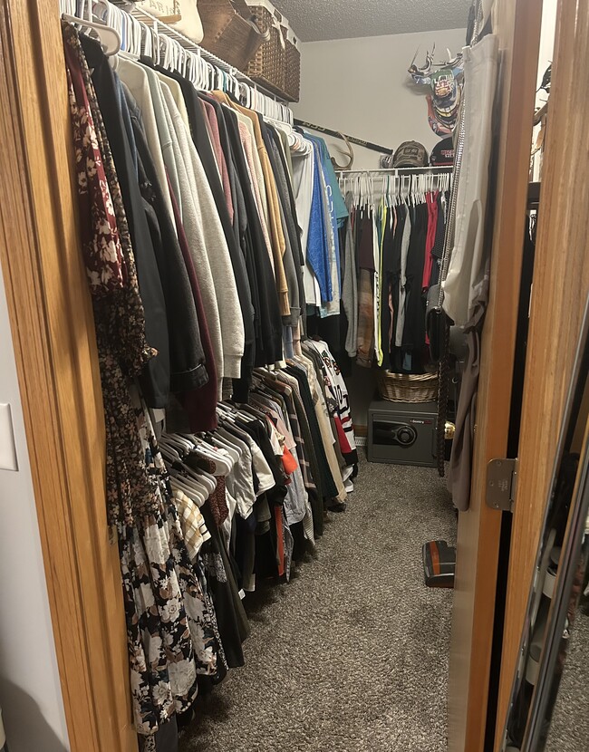 walk in closet in master bedroom - 6382 207th Street North