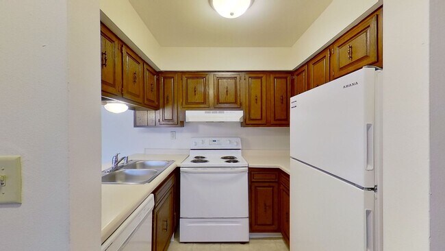 Building Photo - Lower 1 Bedroom 1 Bathroom Apartment Available