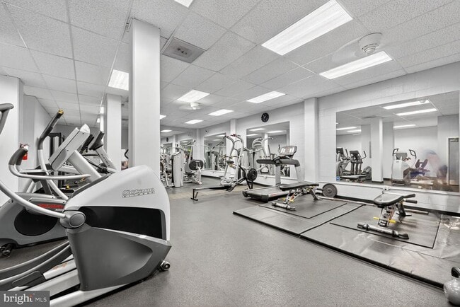 Building Photo - 4515 Willard Ave