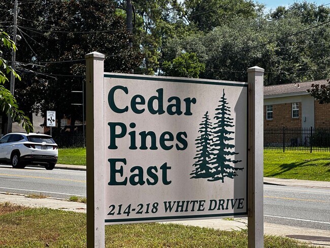 Building Photo - 214-A White Drive @ Cedar Pines-Move In Ready