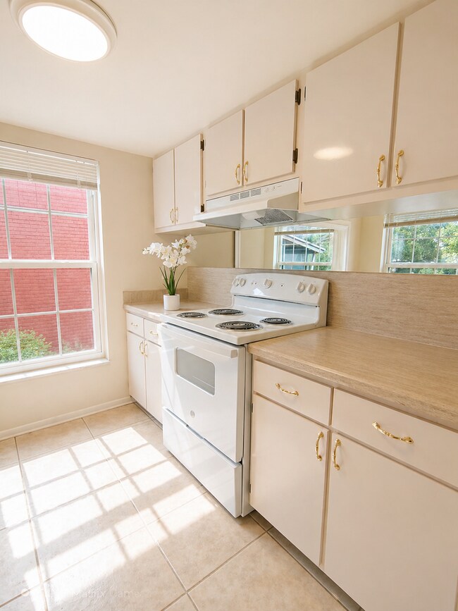 Building Photo - FOR RENT – CHARMING 1-BEDROOM CONDO IN SAINT PETERSBURG, FL