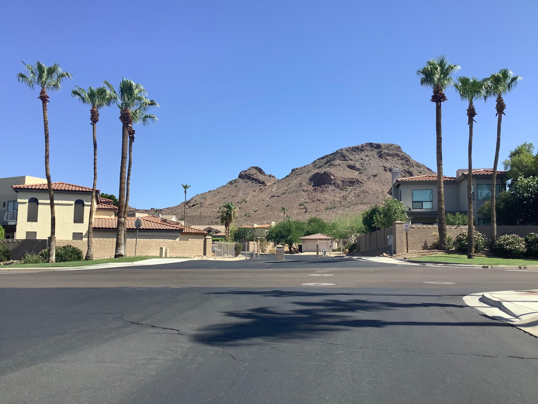Lookout Mountain Preserve across the street - 1502 E Estrid Ave