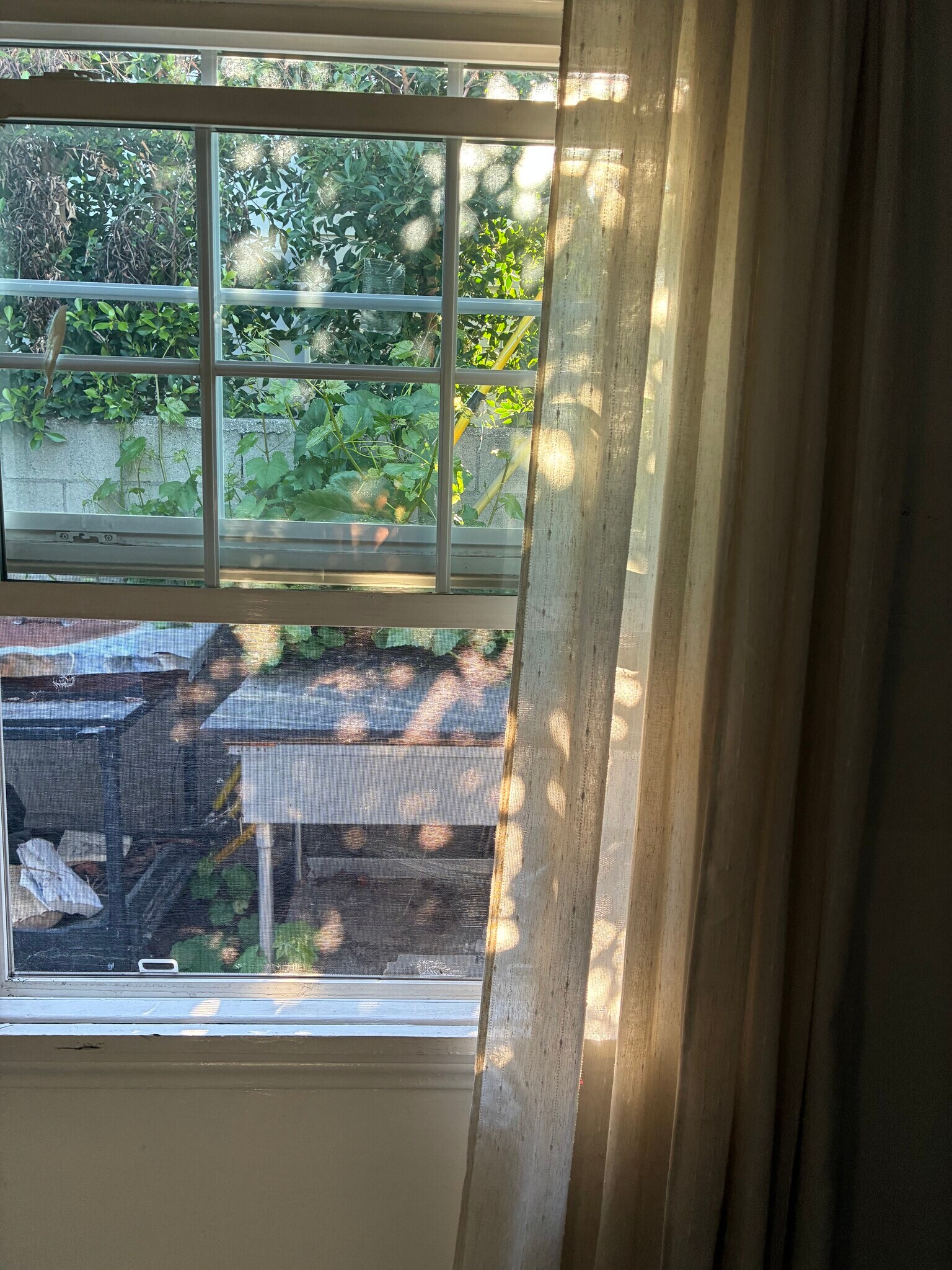 Building Photo - 805 N Maple St