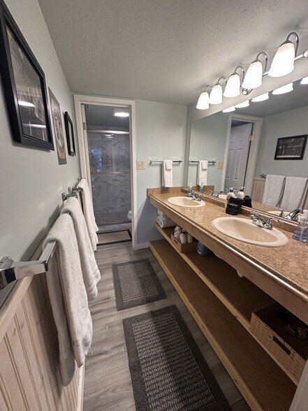 En suite bathroom - 700 Snowberry Ln