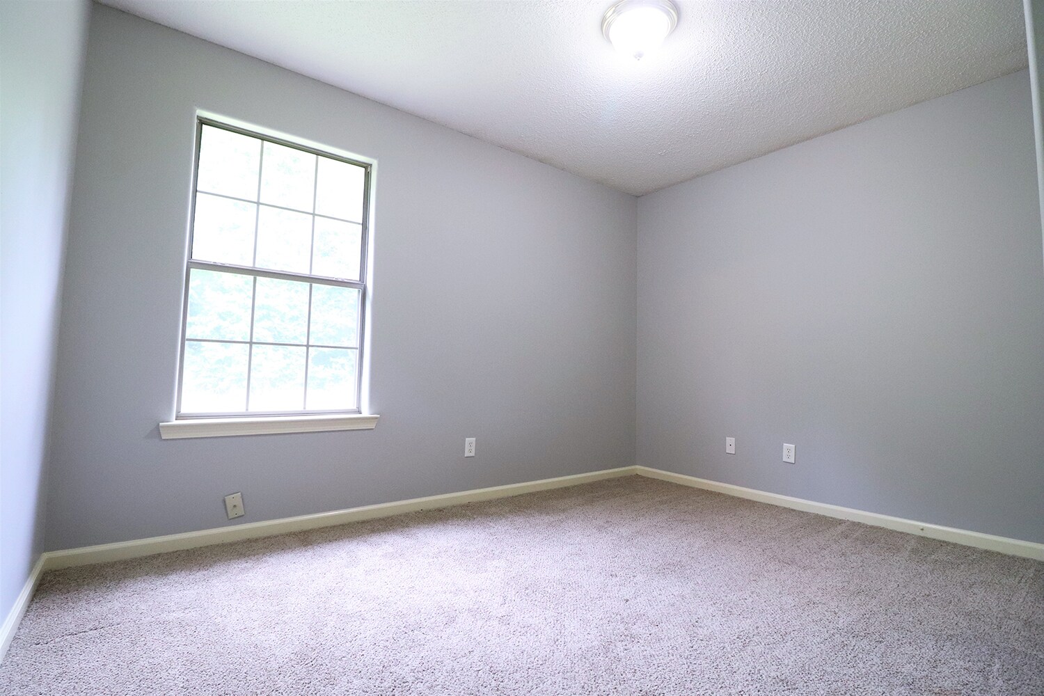 Building Photo - 56 Timberwood Dr