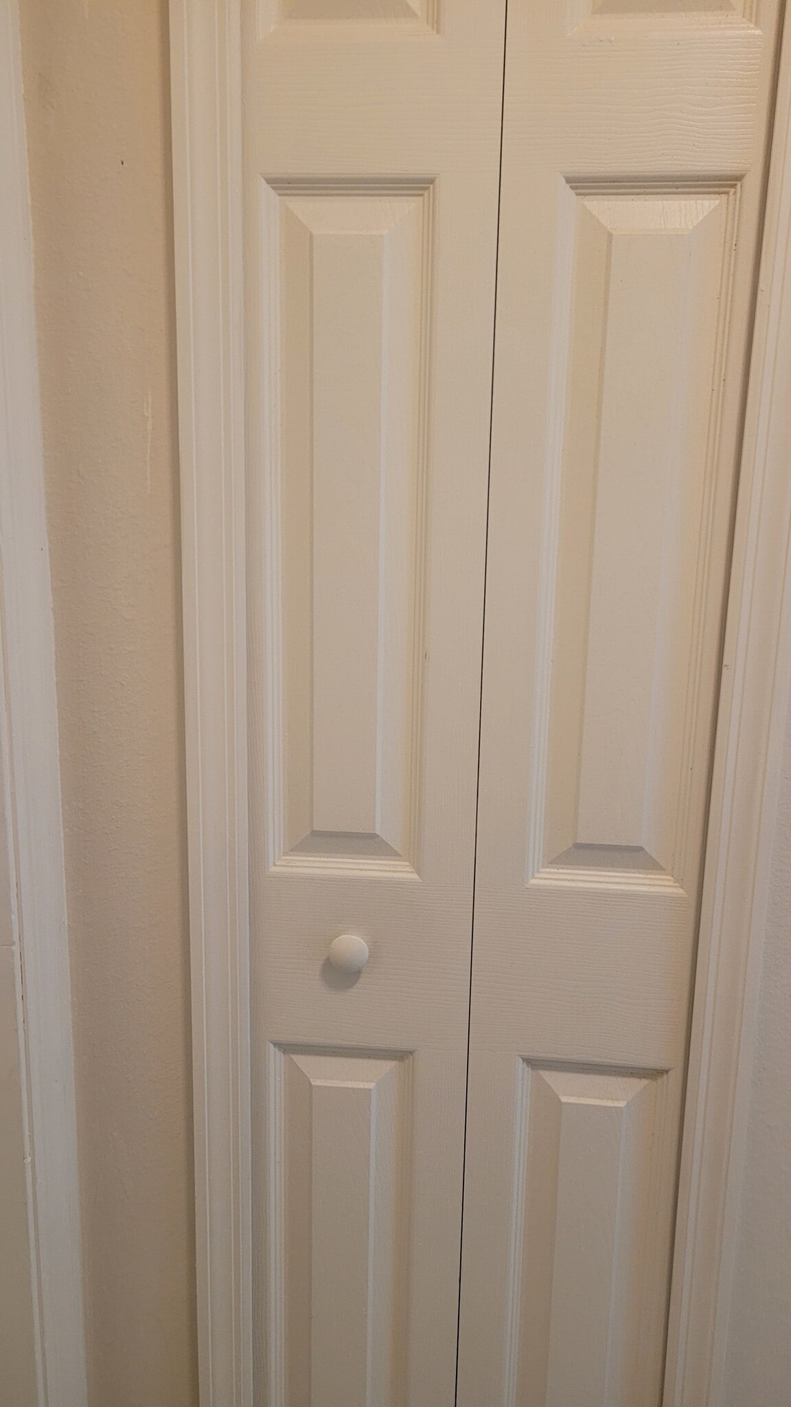 Pantry - 106 Woodbury Pines Cir