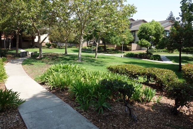 Building Photo - Bright 3-Bed condo with In-Unit Laundry, Pool Access, and Assigned Carport in Fremont