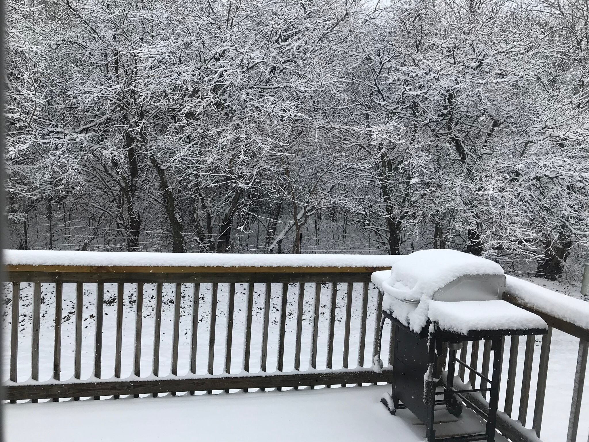 Building Photo - 725 W Juan Tabo Ln