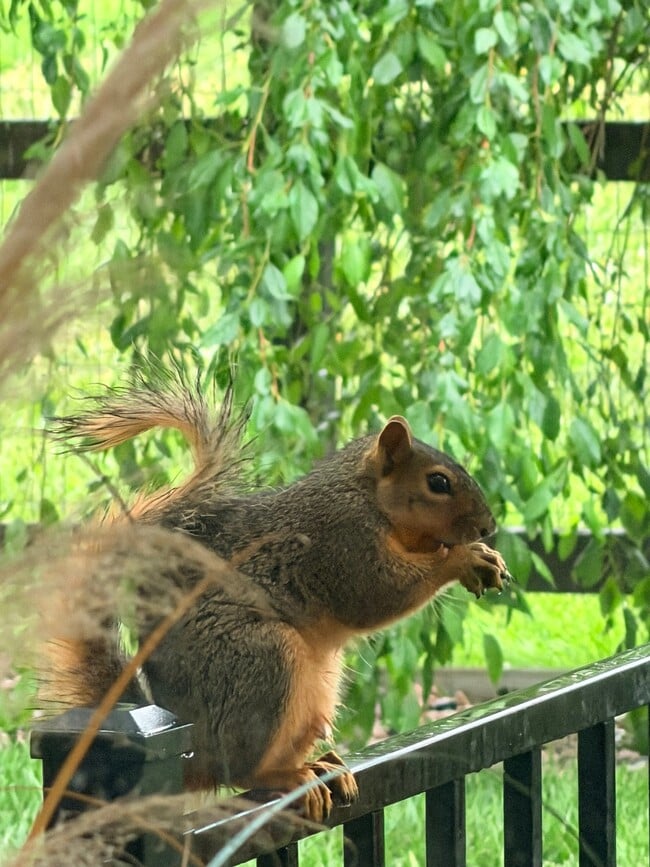 Building Photo - 3826 Lochside Ln