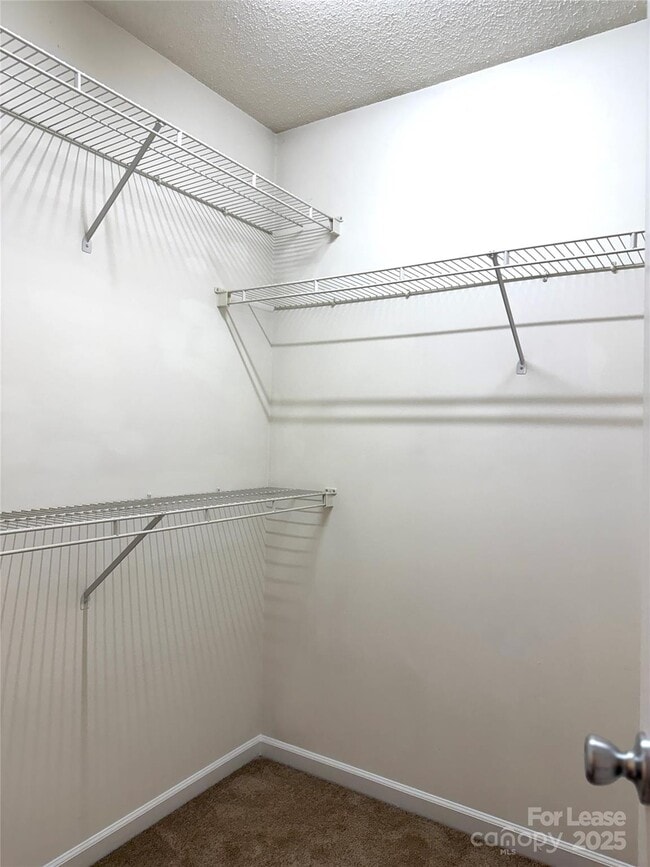 Building Photo - 10013 University Park Ln