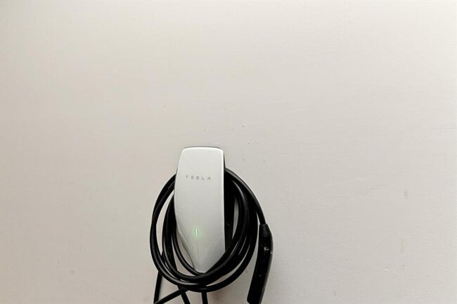 Building Photo - 6508 Strelitzia Cove