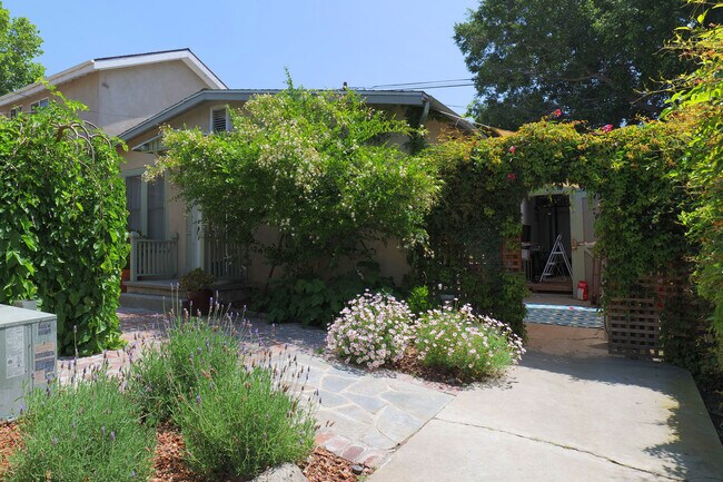 Backyard - 1124 Manzanita St