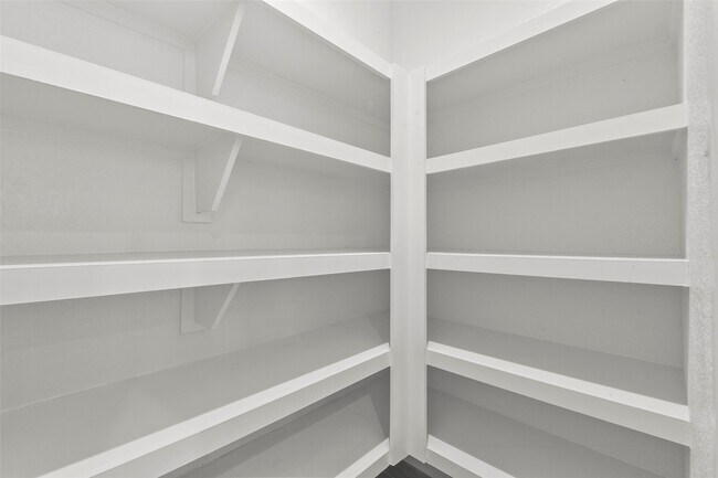 Building Photo - 3109 Cloud Forest Ln