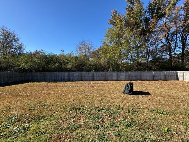 Building Photo - Beautiful 3 Bed 2 Bath Home in Stedman