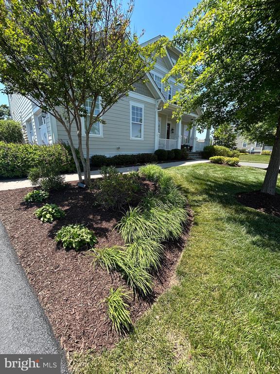 Building Photo - 24467 Mint Julep Ln