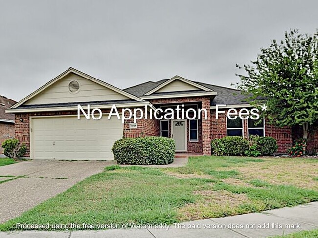 Primary Photo - No Application Fees*