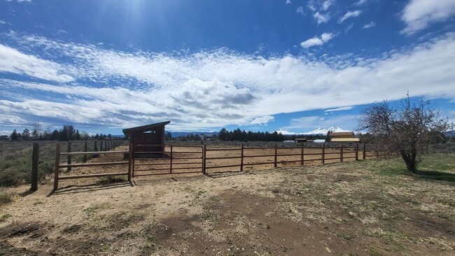 Building Photo - 3 Bed 2 Bath Single level - Horse Property...
