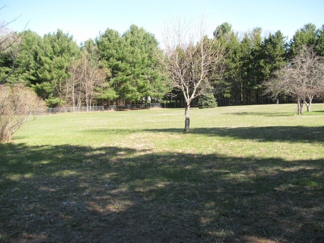 Building Photo - Turnkey 1BR Retreat | Fireplace, Trails, &...
