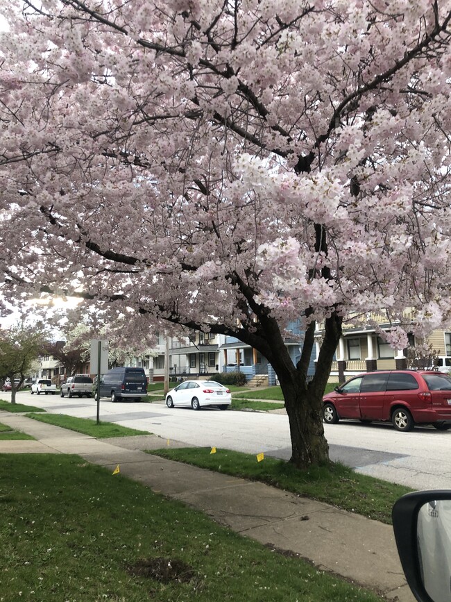 Nice and quiet neighborhood - 4502 McGregor Ave