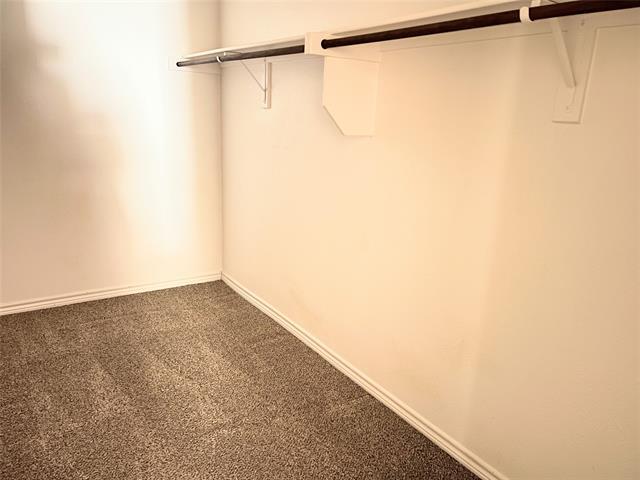 Building Photo - 1616 Bluebird Dr