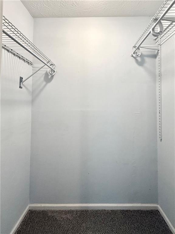 Building Photo - 57 Northdale Pl