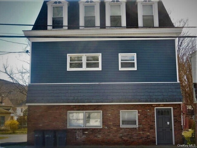 Building Photo - 223 Hudson St